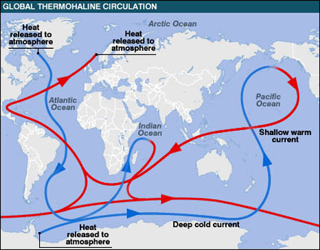 thermohaline-circulation