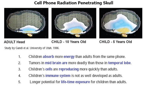 cell-phone-radiation-skull