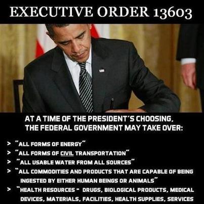 Executive Order 13603