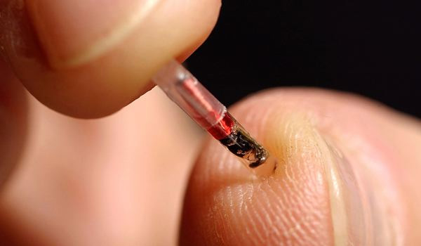 Getting-Ready-to-Microchip-the-Entire-Human-Race