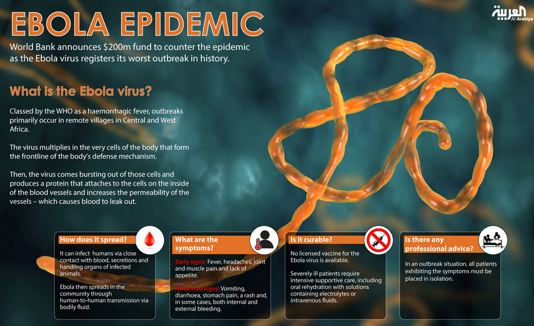 Ebola Virus An Epidemic