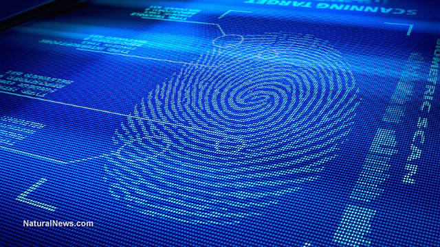Digital-Fingerprint-Scan-Identity