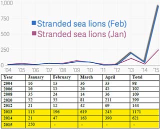 CA_sea-lions_strandings