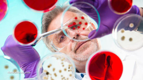 Scientist-Testing-Petri-Dish-Samples