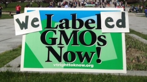 Court Declares Vermonts Genetically Engineered Food Labeling Law Constitutional