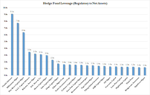 Hedge Fund Leverage