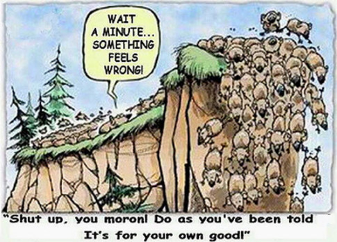 Lemmings Look Like A Pack Of Individualists Compared To Wall Street