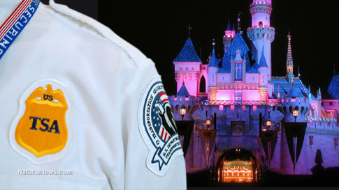 TSA-Agent-Disneyland-Castle