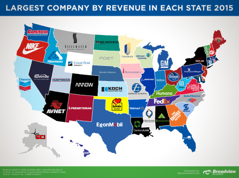 BVN-Largest-Companies-by-Revenue-20152