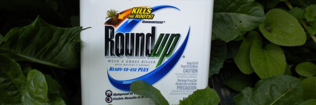 Roundup-08