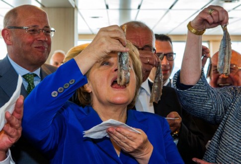Merkel-fish