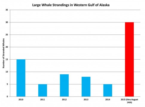 ak_whale_stranding_graph