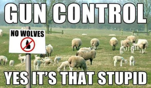 gun-control-stupid