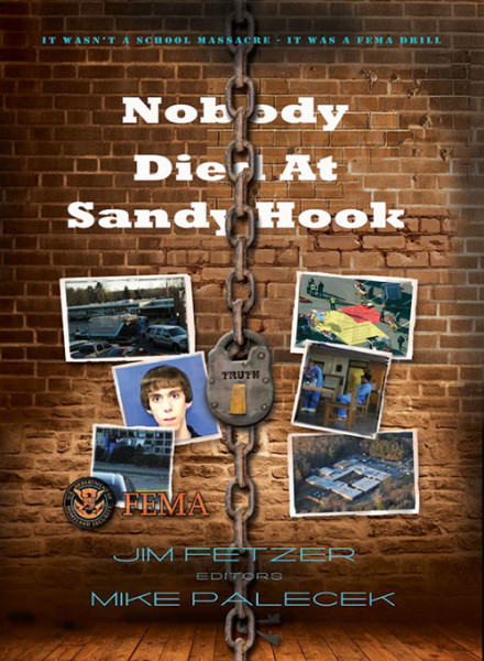 Nobody-Died-At-Sandy-Hook-500