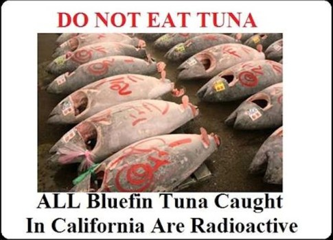 ALL Bluefin Tuna Caught In California Are Radioactive