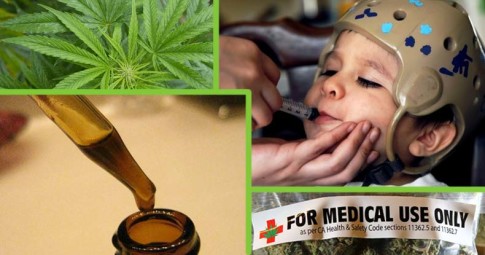 First-of-Its-Kind-Study-Shows-Marijuana-Extract-Obliterates-Seizures-in-Epileptic-Children