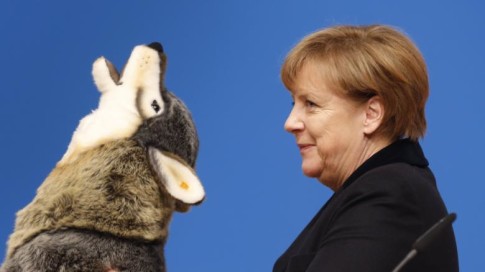 Wolf-Angela-Merkel