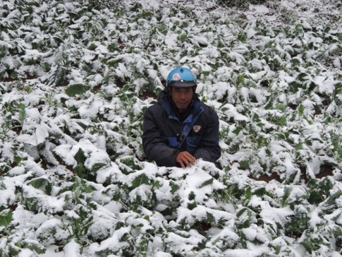 A farmer in Lao Cai Province in his vegetable garden which has been covered in snow January 24