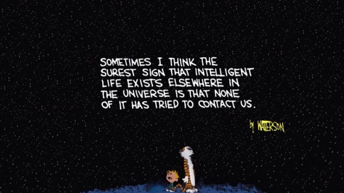 Calvin and Hobbes - Intelligent Life