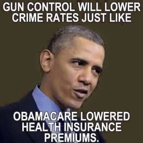 Gun Control Obamacare