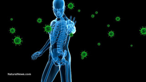 Immune-Body-Disease-Bacteria