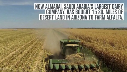 Saudi Arabia is Buying Up American Farmland to Export Agricultural Products Back Home
