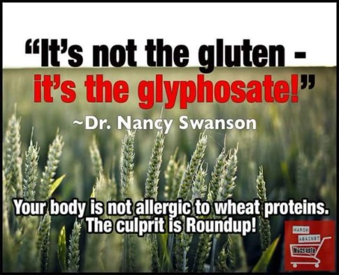 Glyphosate-Gluten-Roundup-Monsanto