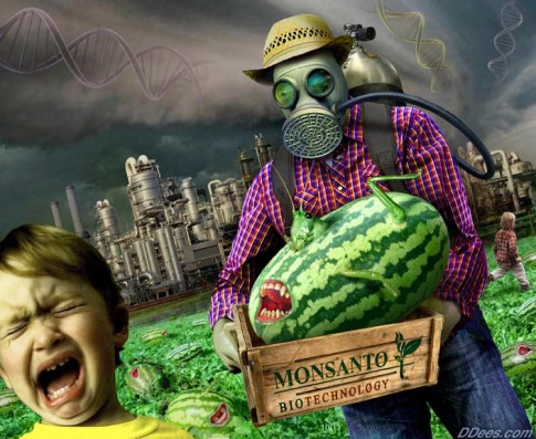 Monsanto-GMO-Crop