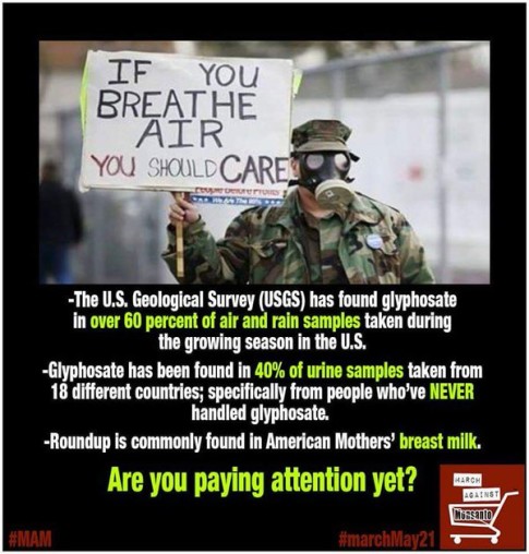 Monsanto-Roundup-Glyphosate-water-breast-milk