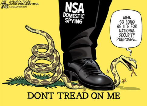 NSA dont tread on me