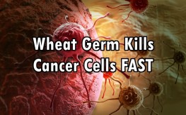 cancer_tumors_wheat_germ