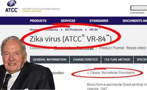 Why-does-the-Rockefeller-Foundation-hold-a-patent-on-the-Zika-virus