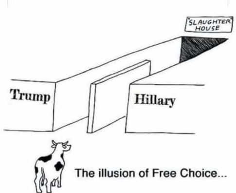 Trump-Hillary-The-Illusion-Of-Choice