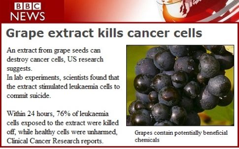 bbc-news-grape-seed-extract-article