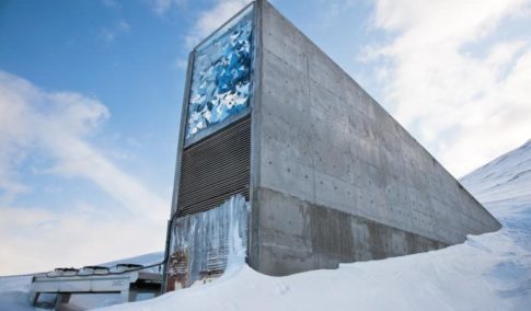 The doomsday seed vault