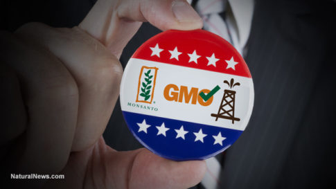 Vote-Button-Monsanto-GMO-Fracking