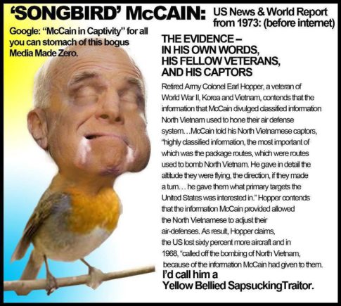 McCain Vietnam Songbird