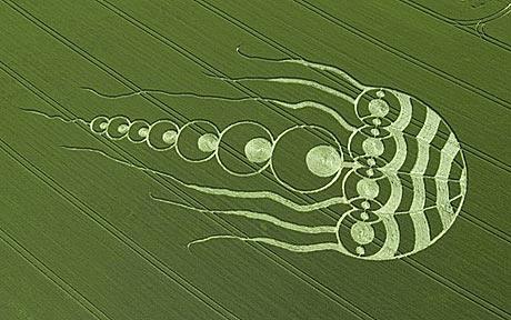jellyfish-crop-circle
