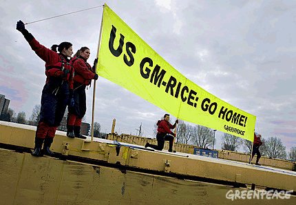 greenpeace_gm_rice_protest_rotterdam_harbour