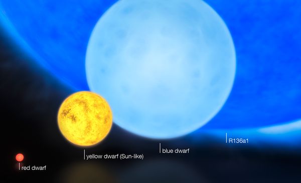 new-largest-star-size