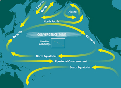 North_Pacific_Subtropical_Convergence