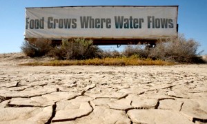 drought-1234