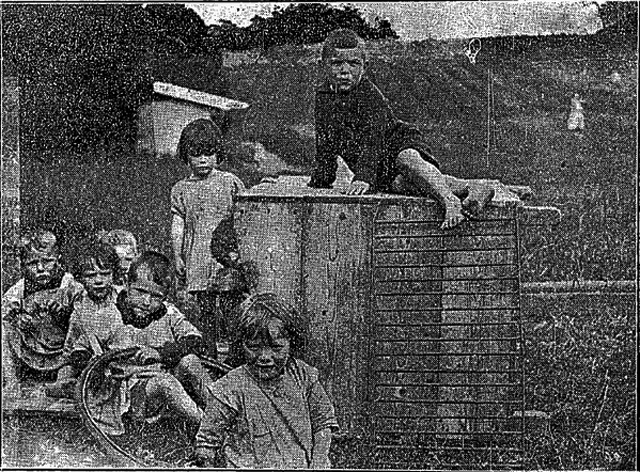 Children photographed in 1924 by the Connacht Tribune in Glenamaddy