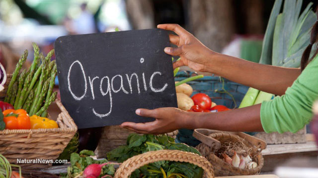 Farmers-Market-Organic-Produce-Veggies-And-Fruits