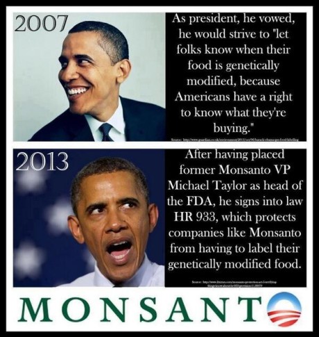 Obama-Monsanto