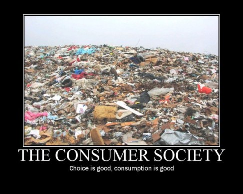 The consumer society