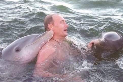 Putin-Dolphins