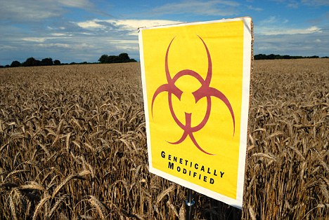 AYBGX1 GM crops biohazard warning