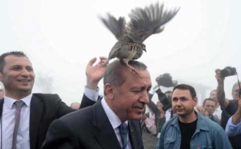 Erdogan-Bird