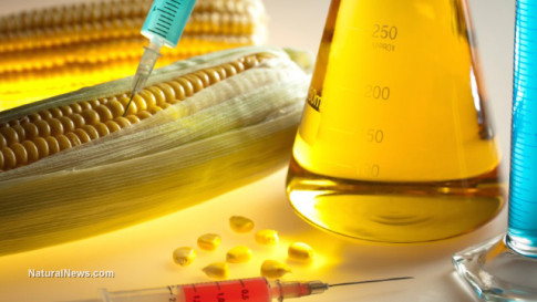 Corn-GMO-Chemical
